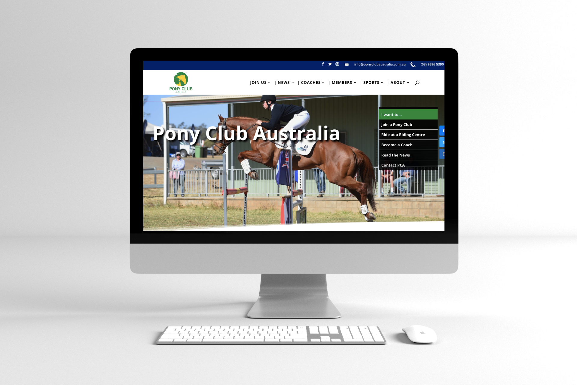 Sleeping Bear - Pony Club Australia Website